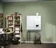 Weißer Vaillant Warmwasserspeicher mit Wandmontage, in einem Raum mit grüner Wand, einem Regal voll mit Werkzeugen und Pflanzgefäßen sowie einem Schlauchaufroller.